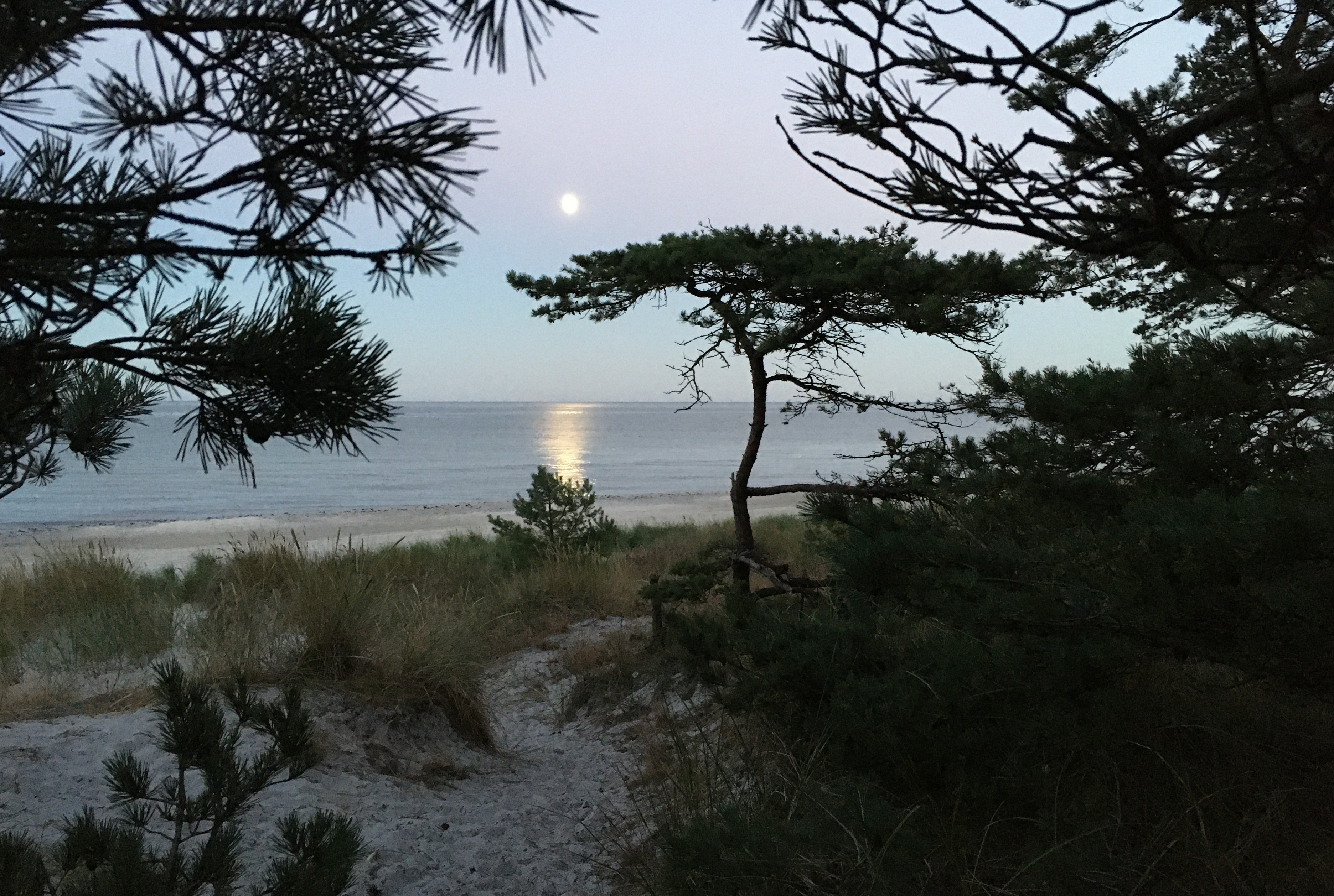 Dueodde strand og måne