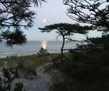 Dueodde strand og måne